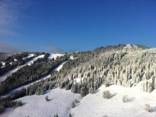 Sport-Gasthof Lipp - Image 1