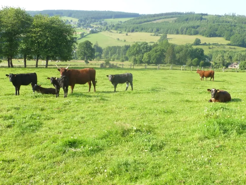 Ardennic Farmhouse for Groups - Image 1
