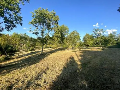 Terra Del Sasso Country-House - Image 1
