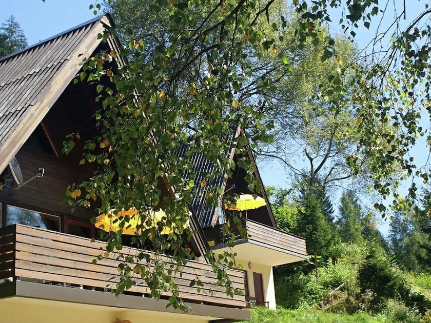 Small pet-friendly holiday park with free 'Nassfeld+' card in High Season. - Image 1