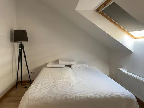Spacious apartment / Antwerp city center #001 - Image 1