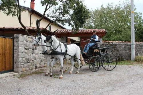 Country House Lokev - Image 1