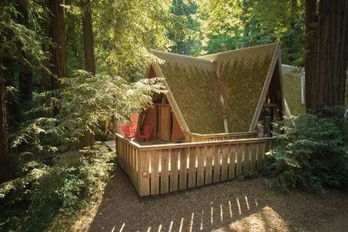 Big Sur Campground And Cabins - Image 1