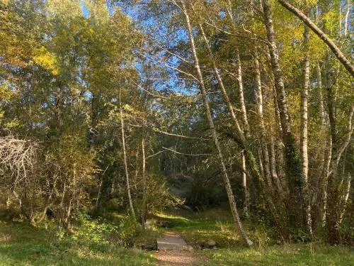 El Chalet - Image 1