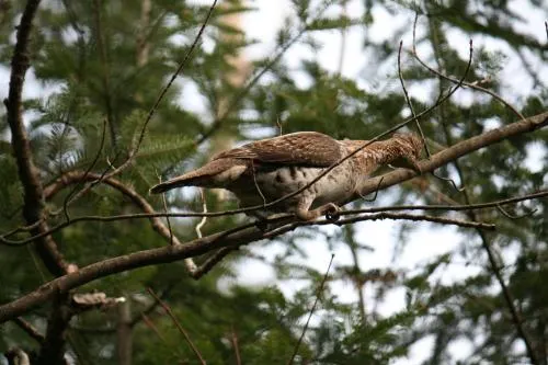 Gite Nature et Confiture - Image 1