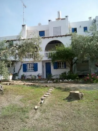 The Olive Branch - Image 1