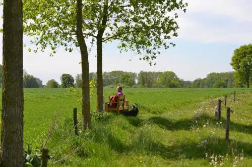 B&B Het Steenuiltje - Image 1