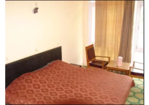 Budget Maharaja Hotel - Image 1