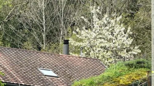 Les Quatre Saisons - balcon et jardin - Image 1