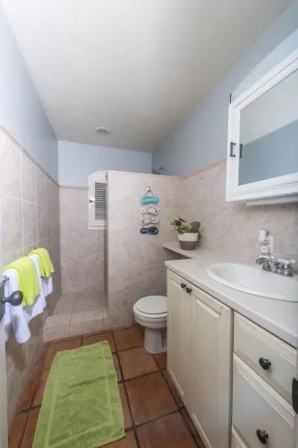 Limetree Cottage at Chocolate Hole - Image 1