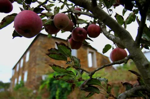 Quinta De Gildinho - Image 1