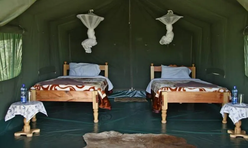 Fisi Camp - Image 1