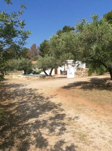 La Pineda - Image 1
