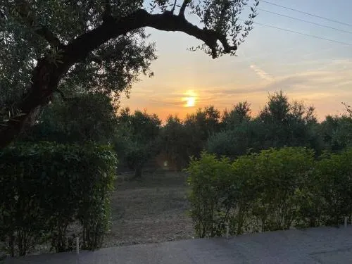 Rustic- Chic Villa in a Private Olive Grove - Filiatra - Image 1
