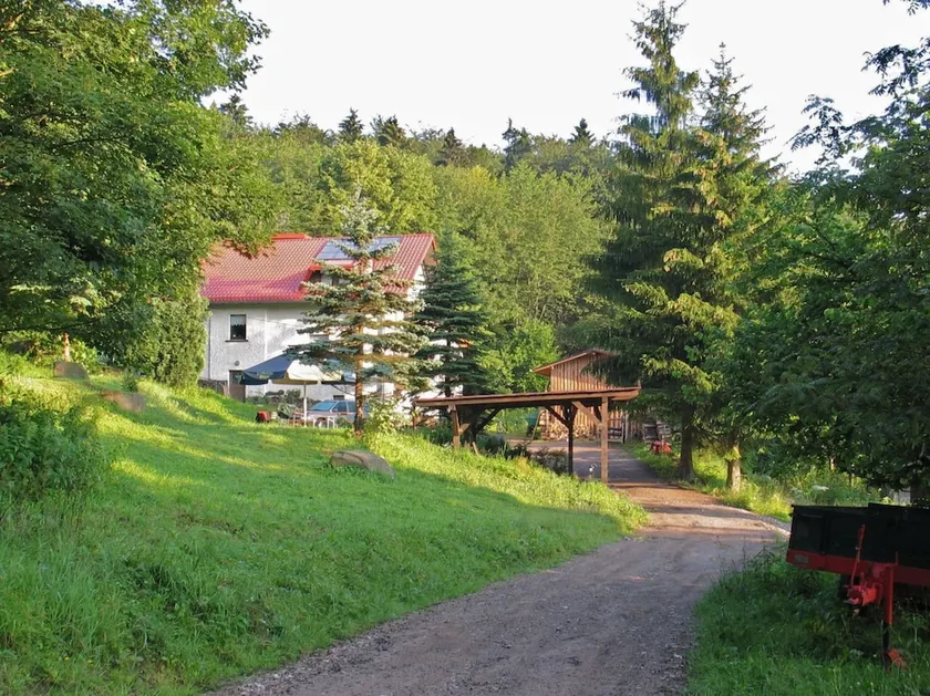 Modern Apartment in Brotterode with Sauna - Image 1