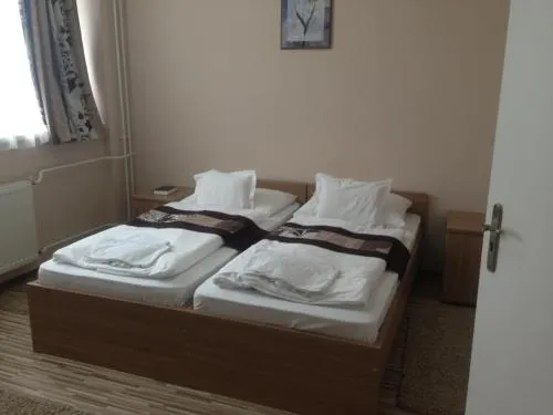 Vasvirag Hotel - Image 1