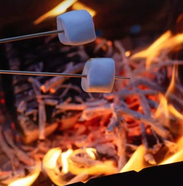 Dragon's Den Glamping Retreat - Image 1