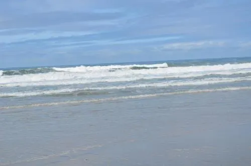 OceanCatcher of Mission Beach - Image 1