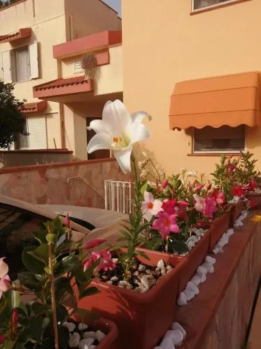 Domomea B&B - Image 1