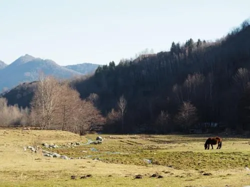 Watching Vilallonga de Ter - Image 1