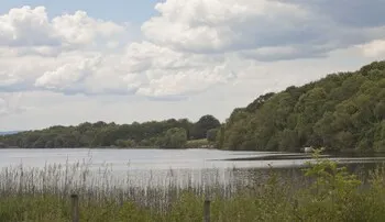 Finn Lough - Image 1