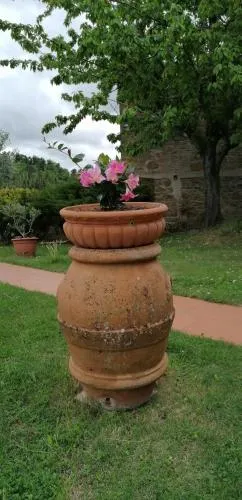 Agriturismo Poggio all'Olmo - Image 1