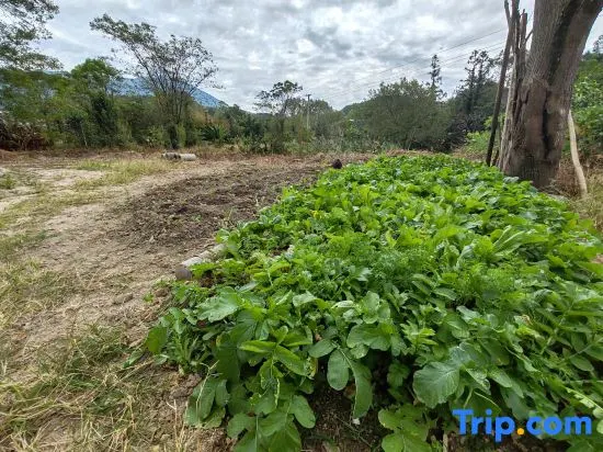 Shixing Pingfeng Stream Inn - Image 1