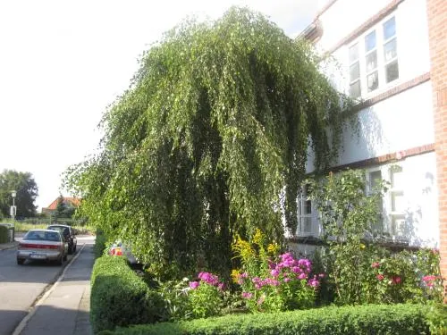 Ferienwohnungen Hebbel - Image 1
