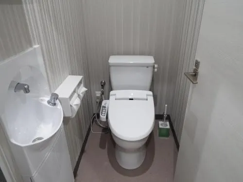 World Yanagishima Hotel - Image 1