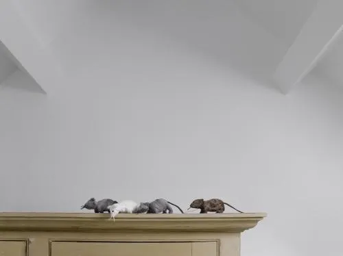 Sabine Van Paemel's Mousehouse - Image 1