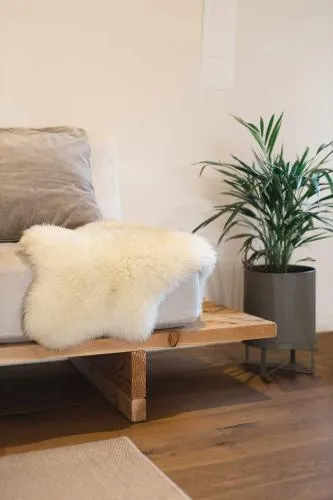 Cal Ouaire House lohodihomes - Image 1
