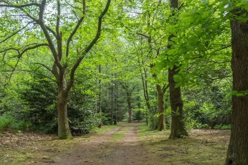 Bungalowpark Vogelenzang - Image 1