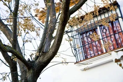 Holiday home Avenida Paraiso - Image 1