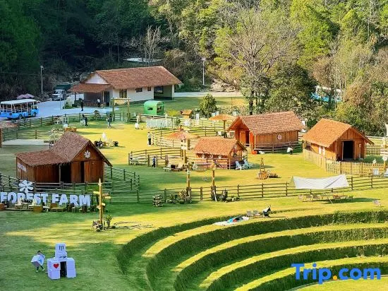 Longyan Forest Water Village Homestay - Image 1