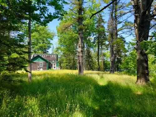 Dog-Friendly Waterfront Home w/Deck, Gas Grill, Views, Free WiFi, Washer/Dryer - Image 1