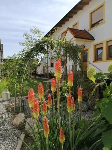 Weingut Gästehaus Nationalparkhof Gartner - Image 1