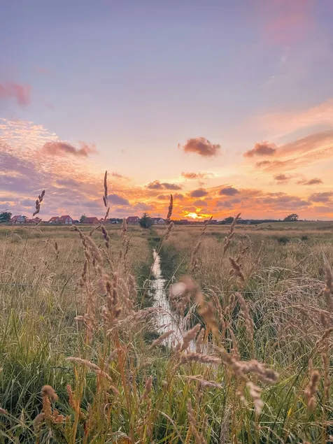 Fanø Night & Stay - Image 1