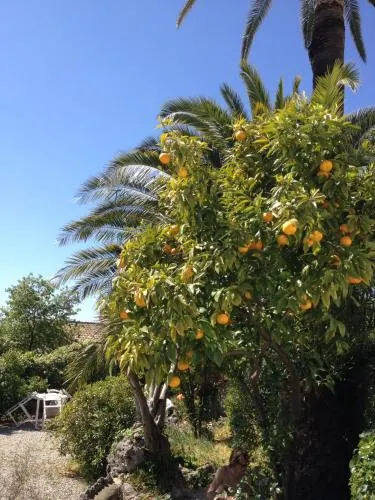 Hotel Le Beau Site - Image 1