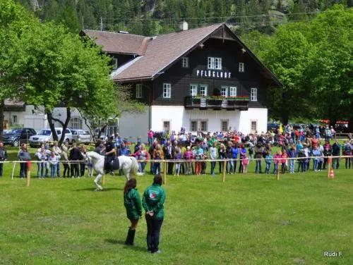 Ferienwohnungen PflÜglhof - Image 1