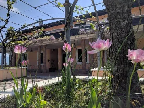 Lisandro Wine Resort Apartments Caserta - Image 1