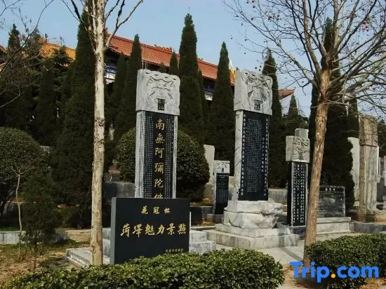 Homeinn Selected Hotel (Heze Dingtao Wantai City) - Image 1