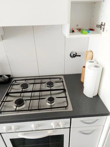 Large Apartment Bern City Centre - Image 1