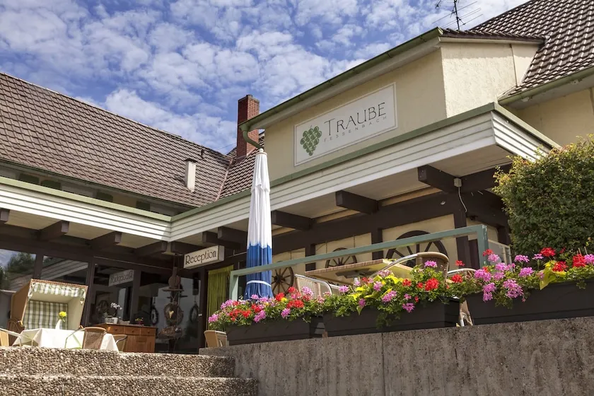 Traube - Image 1
