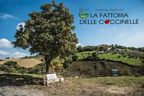 La Fattoria Delle Coccinelle - Image 1