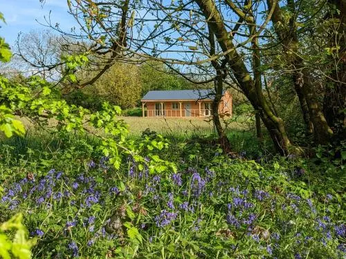 Raleigh Lodge high quality lodge in secluded meadow - Image 1