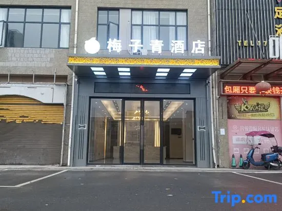 Plum Blossom Hotel - Image 1