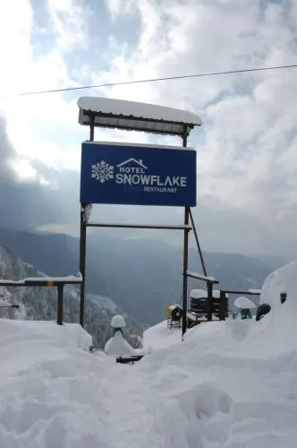 Hotel Snowflake - Image 1