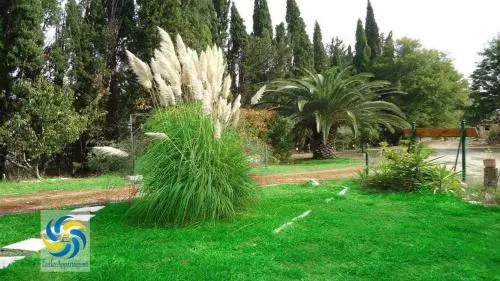 Errika - Image 1