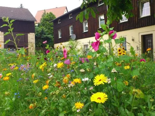 Apartment in the saxon Switzerland Region - Image 1