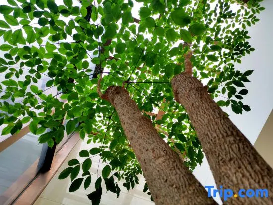 Yiju Hotel (Chongqing Huaxi Culture and Sports Center Dajiang Light Rail Station) - Image 1